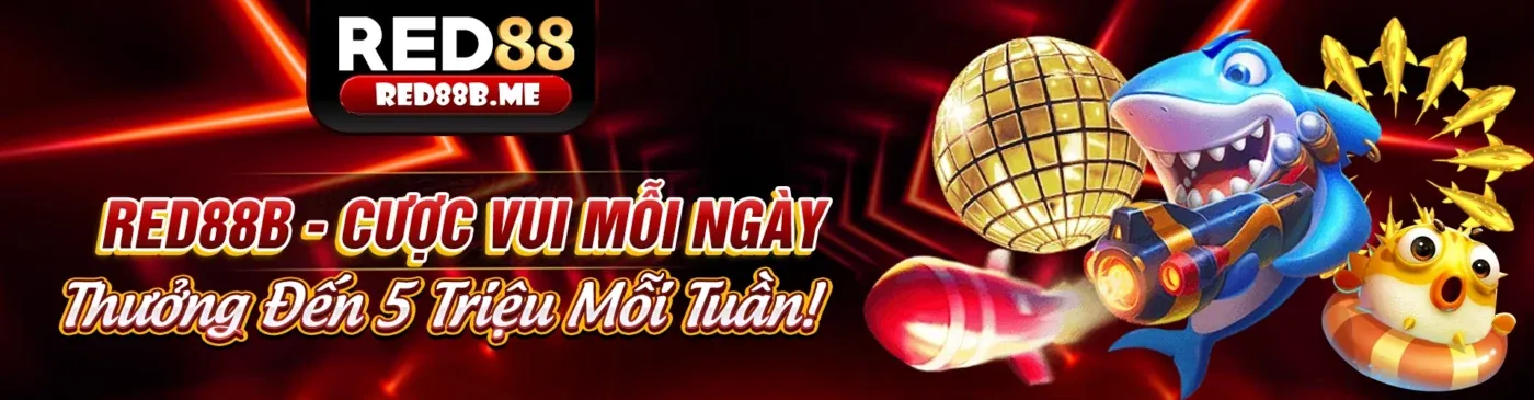 Hình ảnh nền chiến lược Baccarat tại nohu 88