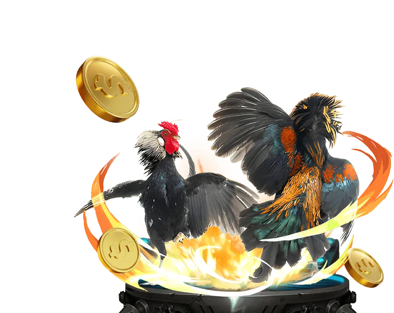Casino trực tuyến tại nohu 88